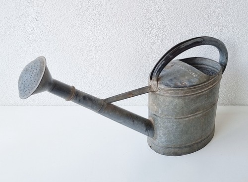 Seltene alte schneider - alte,